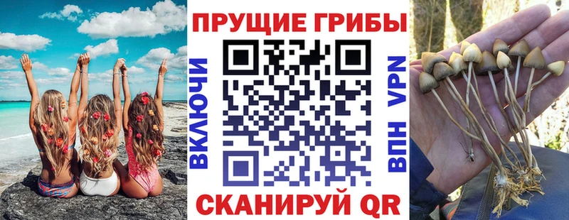 Галлюциногенные грибы прущие грибы  Ардон 